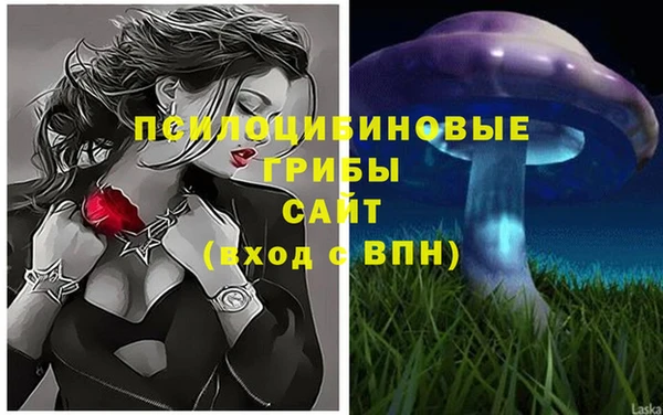 MDMA Пересвет