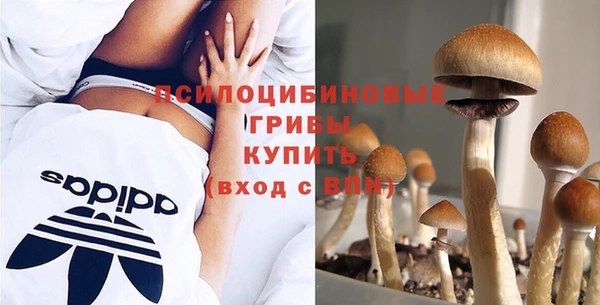 прущая мука Пестово
